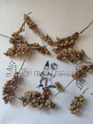 Wild Game Sorghum Seeds for Planting Premium Food Plot - Free Shipping!