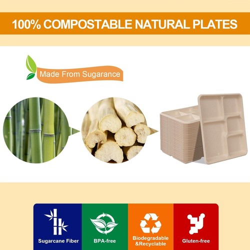 100% Compostable 5 Compartment Paper Plates, 125 Pack Heavy Duty Disposable Scho - Picture 5 of 24