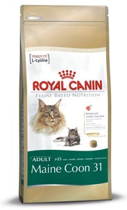 royal canin maine coon cat food 10kg