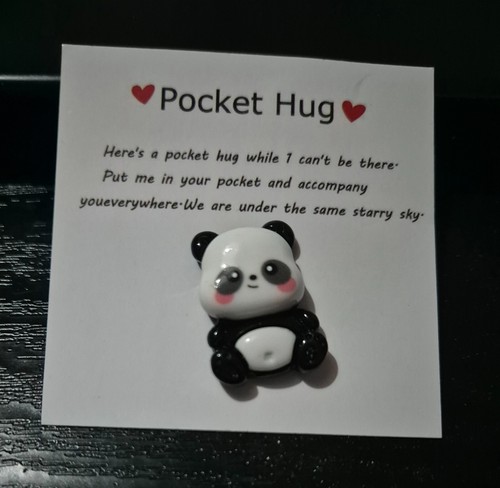 Pocket Hug Heart Turtle Panda Frog Teacher Friend Keepsake Gift - Picture 8 of 10