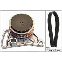 INA Keilrippenriemensatz FüR VW Passat B5 B5.5 A4 B5 B6 A6 C4 C5 1.6-2.0 1.9 TDI