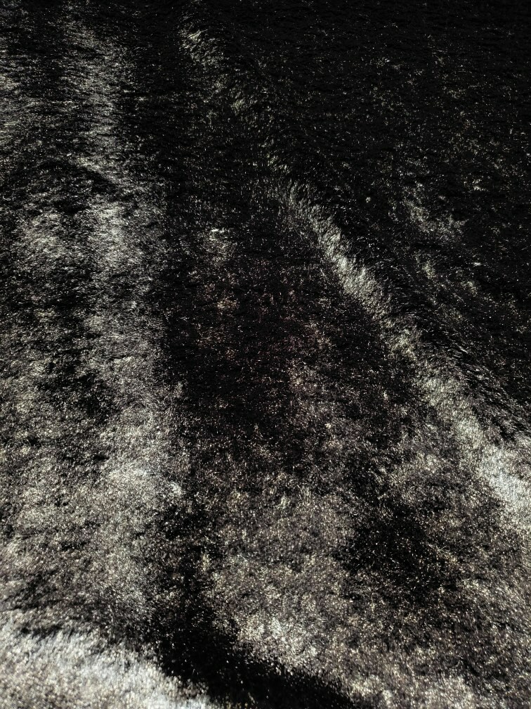 Bild 13 von 16