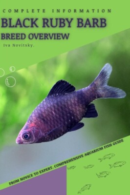 Novitsky - Black Ruby Barb  From Novice to Expert. Comprehensive Aquar - X555z