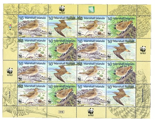 China 1943- 