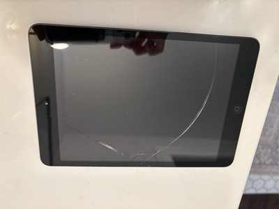 iPad Mini