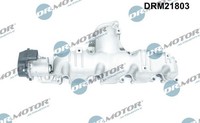 AnsaugbrÜCke Saugrohrmodul FÜR VW Tiguan (5N ) - Dr.Motor Automotive DRM21803