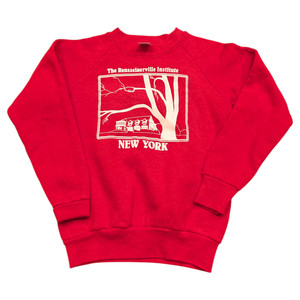 90s The Rensslearville Institute Youth Crewneck Sweatshirt