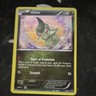 Nintendo Pokémon TCG Axew Emerging Powers 12/98 Common Reverse Holo 40 HP