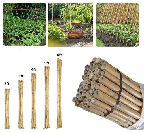 2FT- 6FT Strong Heavy Duty Bamboo Canes Thick Garden Plant Flower Support Sticks - Picture 24 of 24