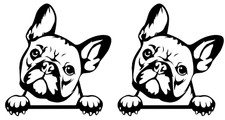 Peeking Bulldog Francés Dos 5" Negro Vinilo Calcomanía Coche Camión Laptop Tableta Notebook