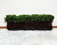 Miniature Hedge Tall Dark Green with Vine Stems Free Standing 1:12 Scale