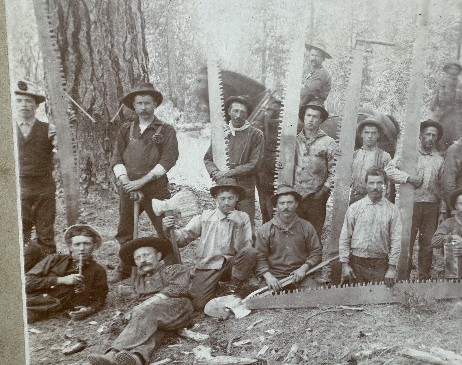 CALIFORNIA Lumber Lumberjack Workers Group Photograph McCloud Siskiyou County