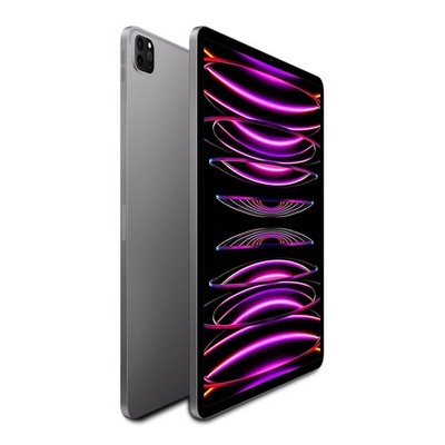 New 2021 Apple iPad Pro 5 512GB WiFi/Cellular 12.9