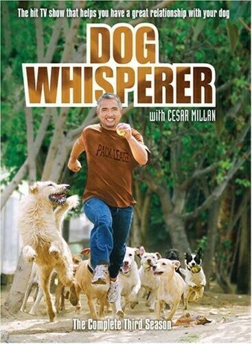Dog Whisperer With Cesar Millan Comp Th DVD Region 2 - Zdjęcie 1 z 1