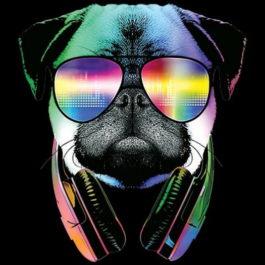 DJ Pug T Shirt You Choose Style, Size, Color 10737