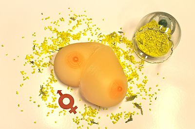 1 Paar Silikonbrüste Brustprothese Silikon Busen Silikon Brust Prothese Silikon Busen Silikon Brust Prothese Natura