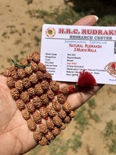 LABORZERTIFIZIERT 3 Mukhi RUDRAKSHA Rudraksh Mala ROSENKRANZ 108 + 1 Perlen G...