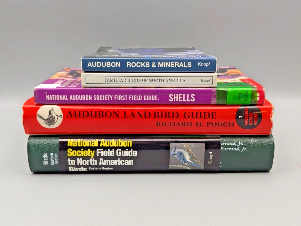 Audubon Nature Field Guides Lot of 5 Vintage Books Birds Rocks Minerals Shells - Image 2 of 4