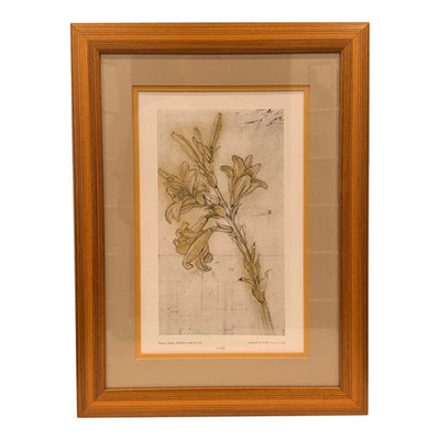 Framed Leonardo Da Vinci ''A Lily'' Botanical Drawing Reproduction    1985 Windsor