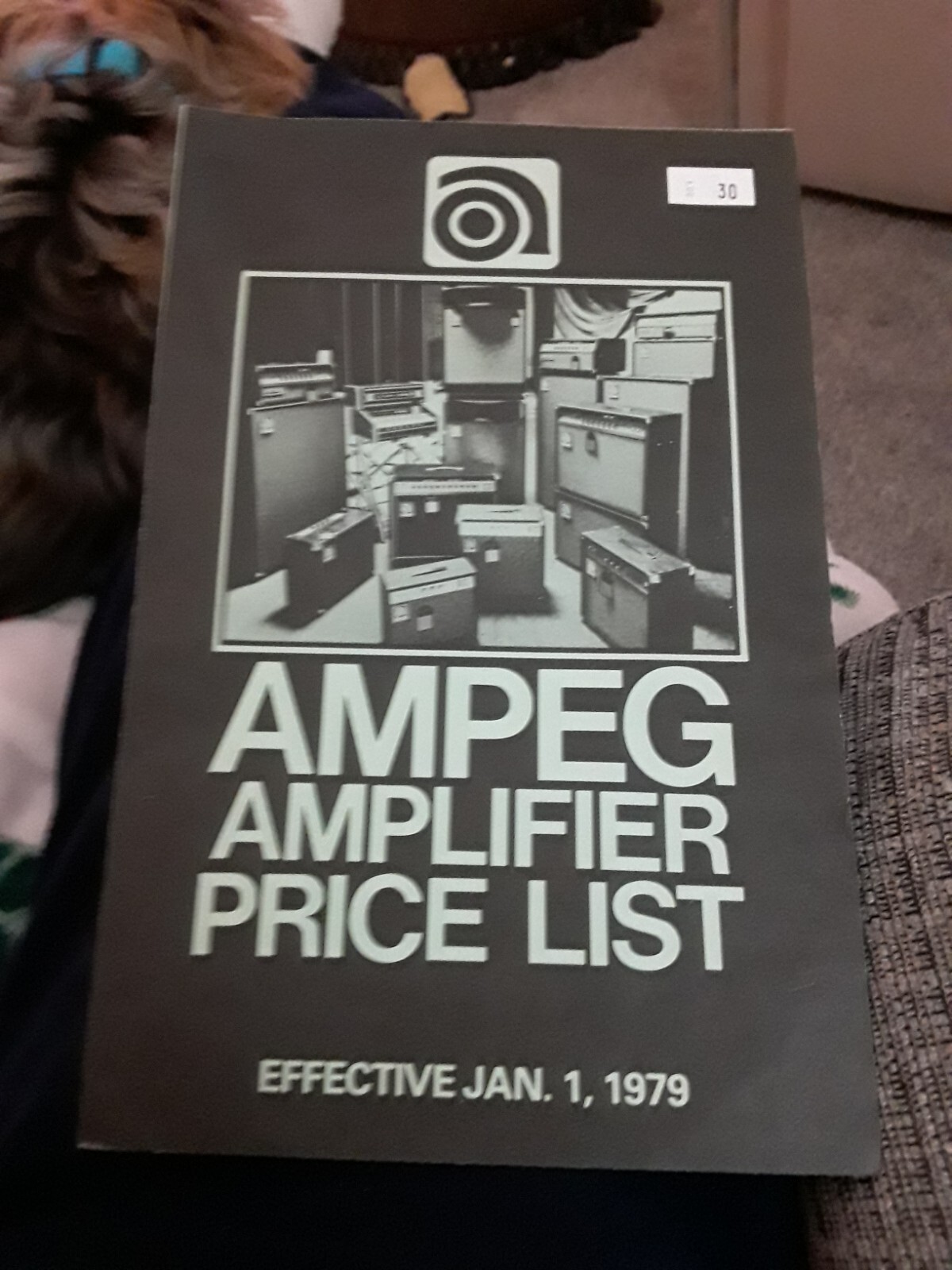 Ampeg Amplifier #COOL# 