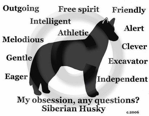 Siberian Husky Dog Hand Painted Messenger Bag name free! Book Bag - Picture 2 of 3