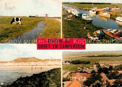 Camperduin Cattle Pasture Canal Boats Coast Beach