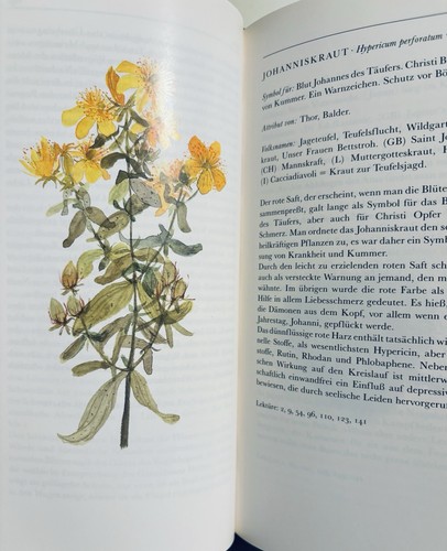 Symbolik der Pflanzen. Beuchert, Marianne. 1999 Insel Verlag - Bild 4 von 5