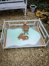 Dog bed. Stylish and sturdy. Hand crafted wrought iron. Firm base.   