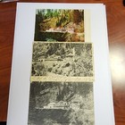 Foto 4 di 10
