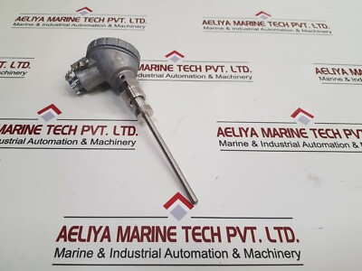 DAE YANG INSTRUMENT TTR-LN Resistance Bulb Thermocouple