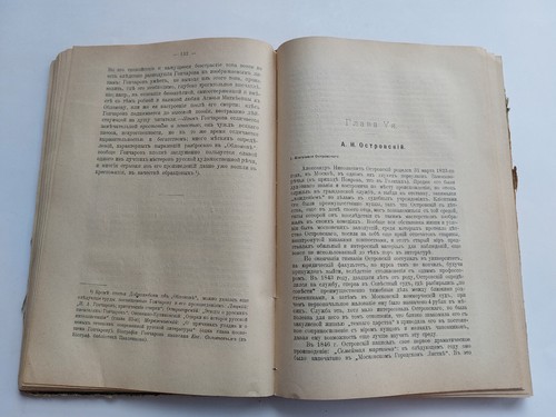 1912. История русской литературы XIX век. Russian literature. History book - Picture 12 of 22