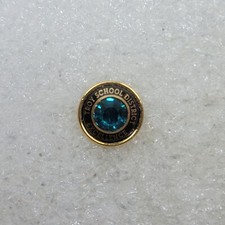 Troy School District Excellence Lapel Pin Gold Toned Blue Gem MADE IN USA
