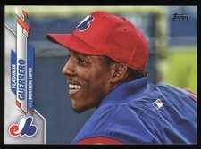 Vladimir Guerrero 2020 Topps #183 Legend Image Variation SP Short Print Expos