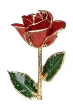Living Gold Red 24k Gold Rose Real Rose Dipped in Gold, 12", 1 pc.