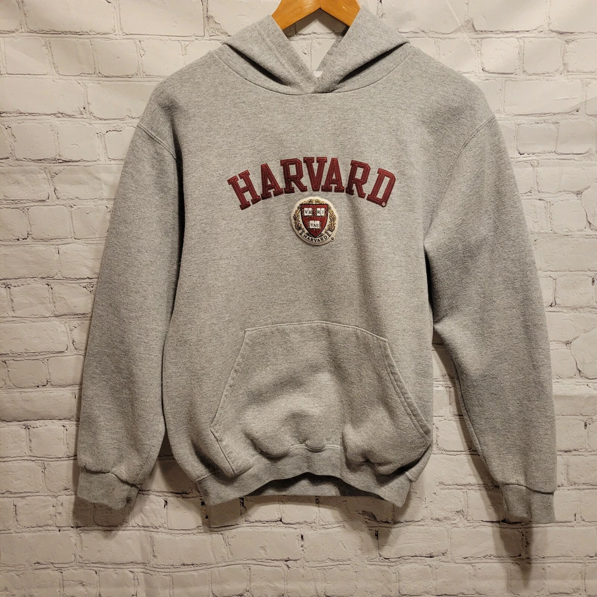 Champion Harvard Hoodie Kids XL 14 16 Grey Sweatshirt Ve Ri Tas