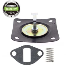 NEW 230675  Fuel Pump Rebuild Kit w/ Spring for Kohler Onan Tractor Generator