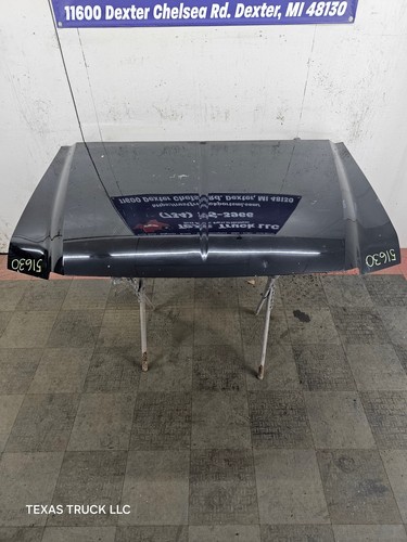 1999-2007 Ford Super Duty Hood F250 F350 F450 F550 - Picture 2 of 24