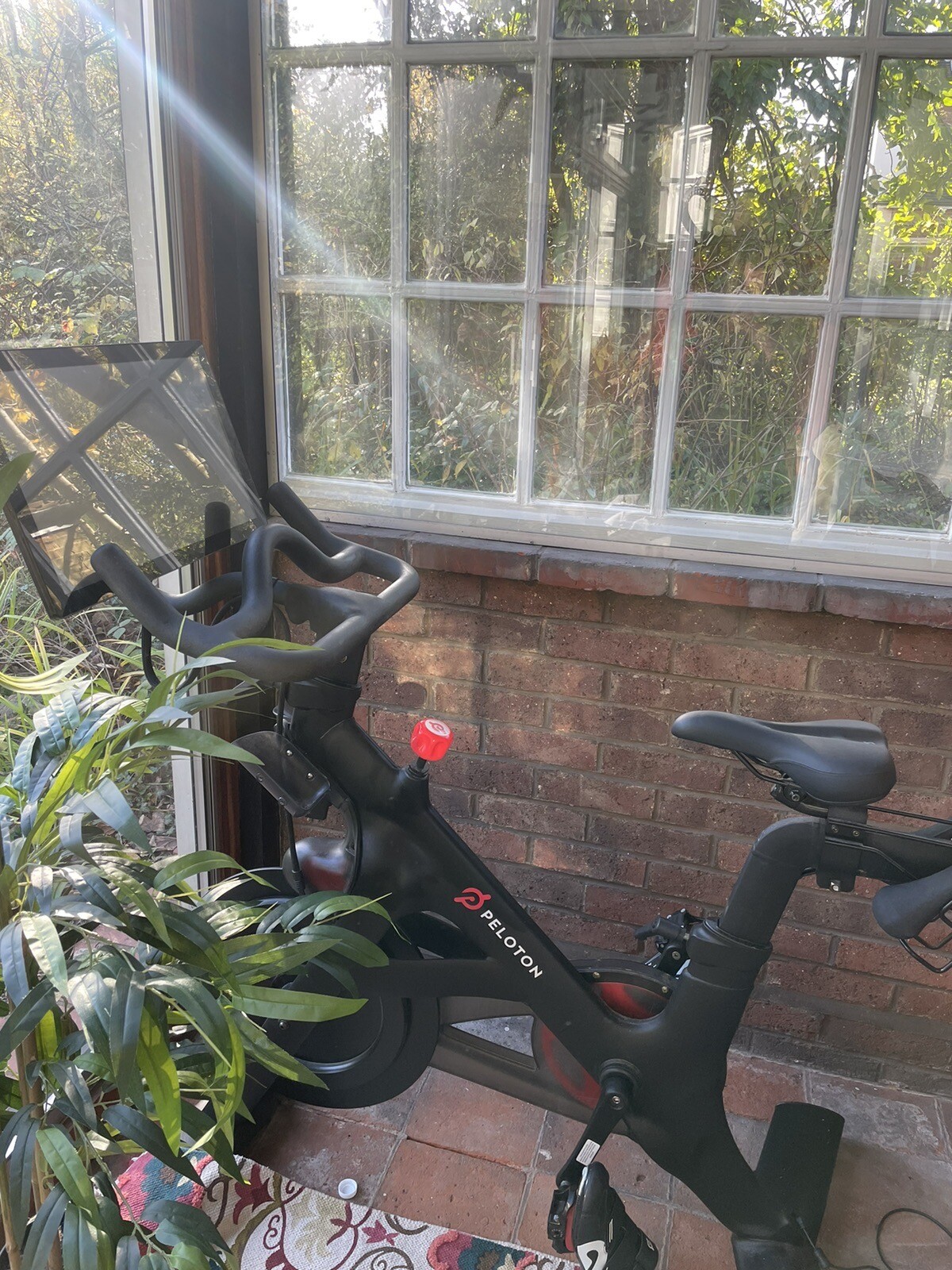 peloton bike ebay