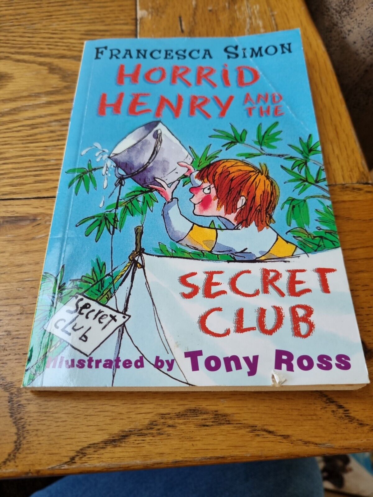 Horrid Henry  Horrid Henry and the Secret Club