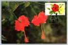 2008 Hong Kong Hibiscus Flower FDC Maxi Card