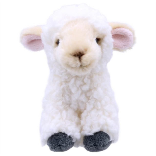 Lamb Soft Toy (Paperback Book) - Image 4