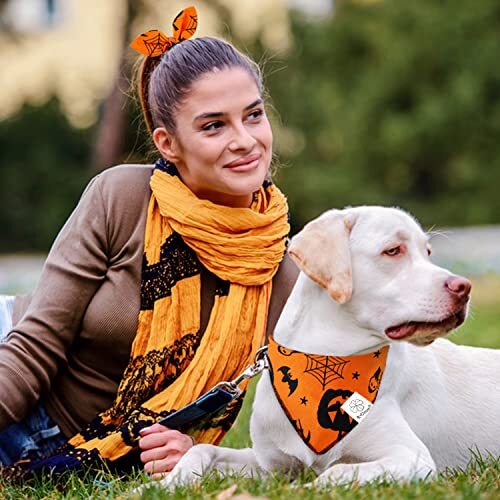 orange dog scarf