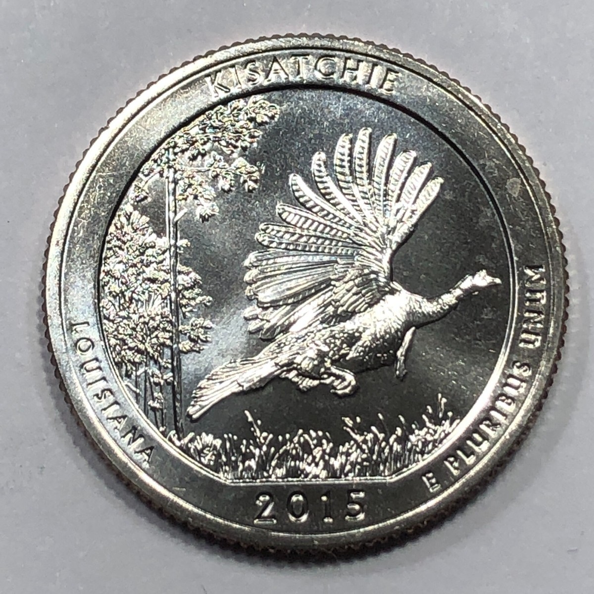 2015 North American Coins & Prices 第24版 2015 NORTH AMERICAN COINS & PRICES - UNITED STATES, CANADIAN