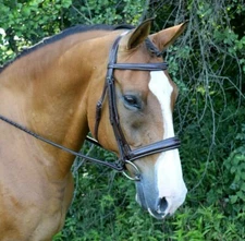 KL Select Red Barn Ocala Wide Noseband Bridle