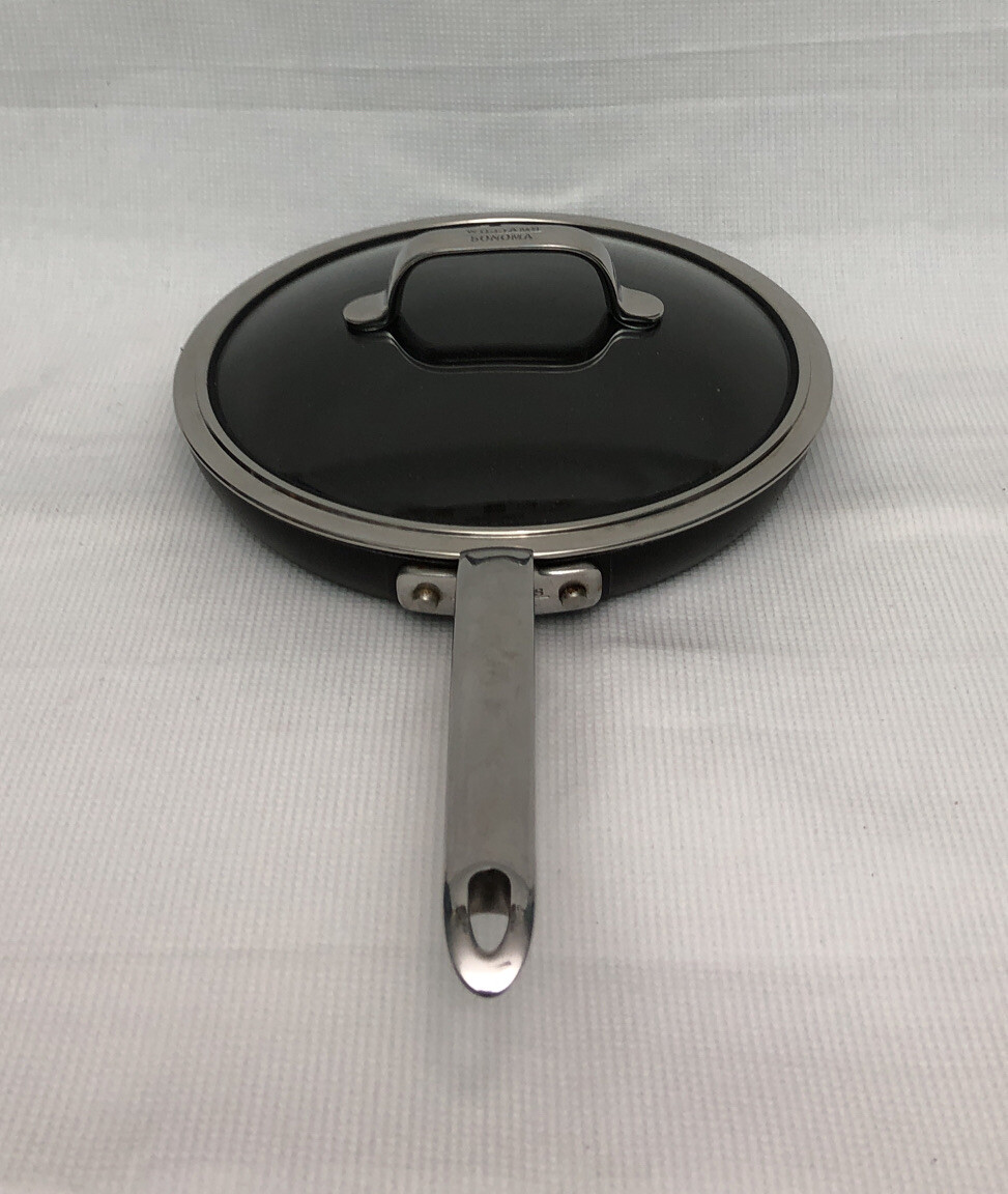 WILLIAMS SONOMA SET 10.5” Skillet & 2 Qt Sauce Pan With Lids, ScanPan