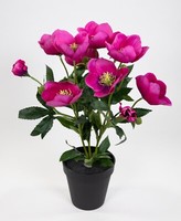 Christrosenbusch 36Cm Rosa-Pink Im Topf Pm Kunstblumen KüNstliche Christrose Blu