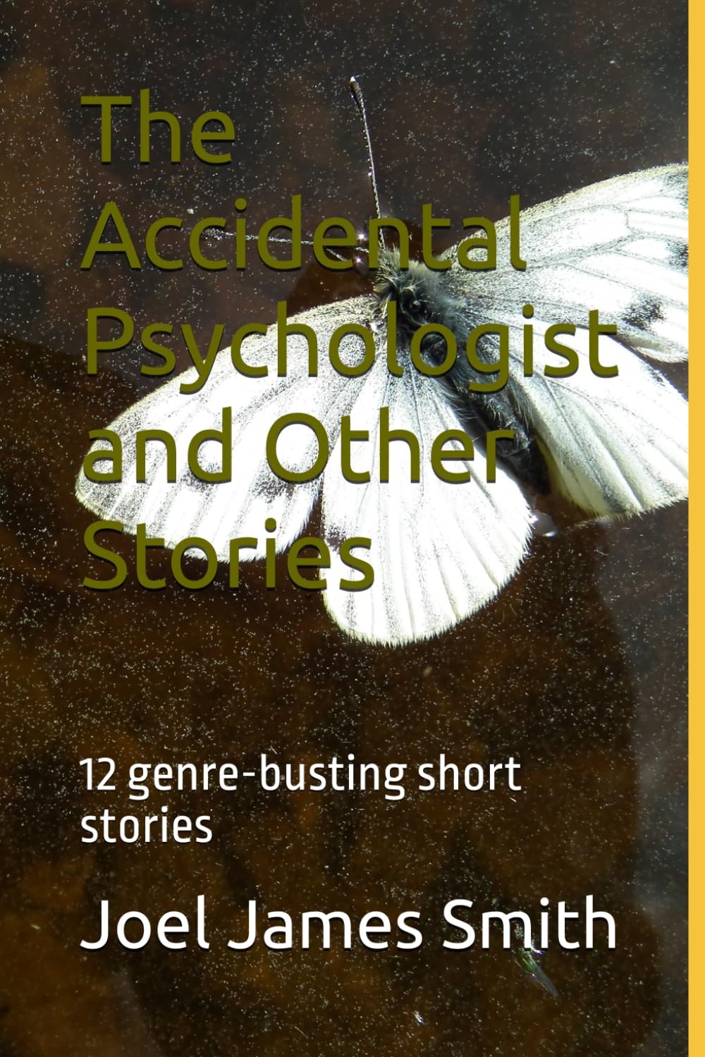 Joel Smith The Accidental Psychologist and Other Stories (Paperback)