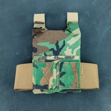 Plate Carrier T.REX  ARMS AC0 - Medium, M81 Woodland