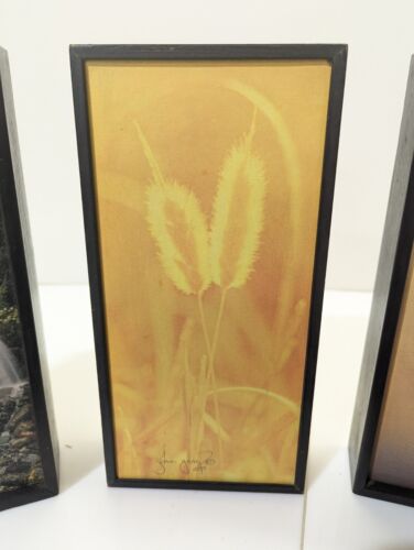 Mid Century Springbok Boxed Wall Art x 4 Mod Pop Boho Hippy RARE Born Free - Picture 3 of 12