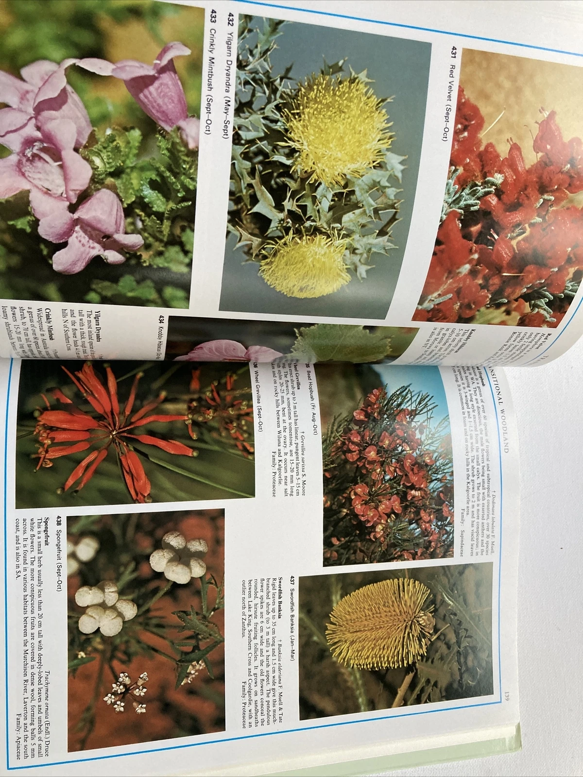 Picture 8 of 9